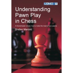 کتاب Understanding Pawn Play in Chess