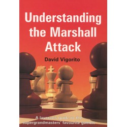 کتاب Understanding the Marshall Attack