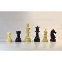صفحه و مهره شطرنج فدارسیونی مسابقات کیان مدل مگنوس جدید