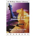 کتاب The Art of Positional Play
