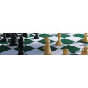 شطرنج فدراسیونی